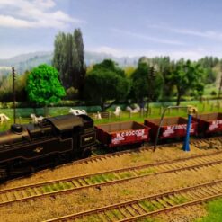 d55a4979-10c6-47d5-9aef-41d513a496c0
