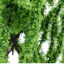 8c485d68-80e2-4f87-ae49-3515657b9e99
